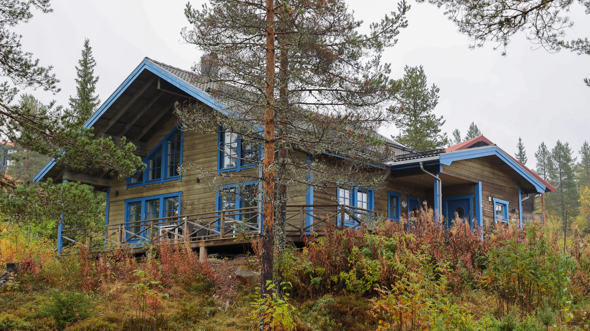 Trästuga med blå detaljer och altan, delvis skymd av träd och vegetation i ett skogsområde. Trästuga med blå detaljer och altan, delvis skymd av träd och vegetation i ett skogsområde.