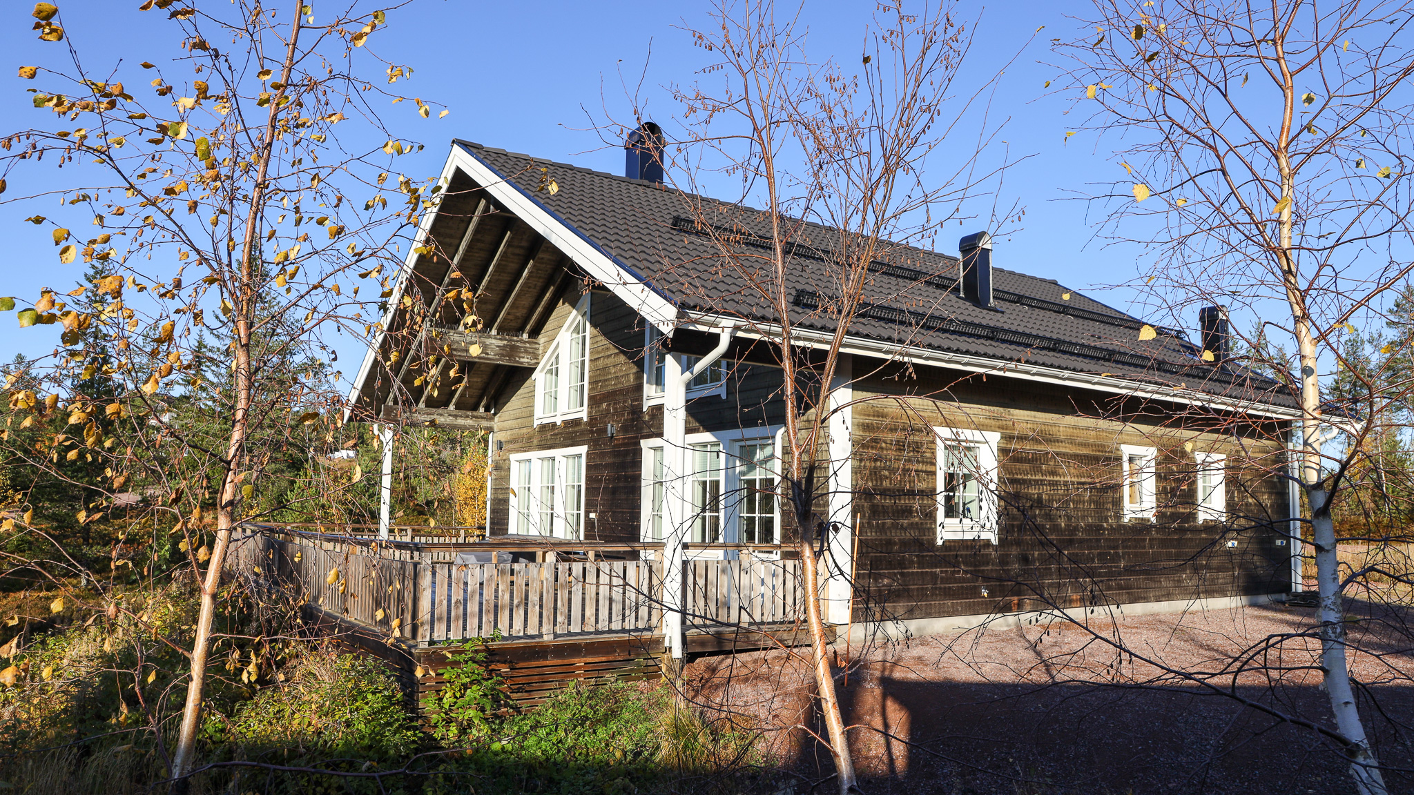 Trästuga med ljusa knutar, liten veranda och trappa vid entrén, omgiven av träd och vegetation.