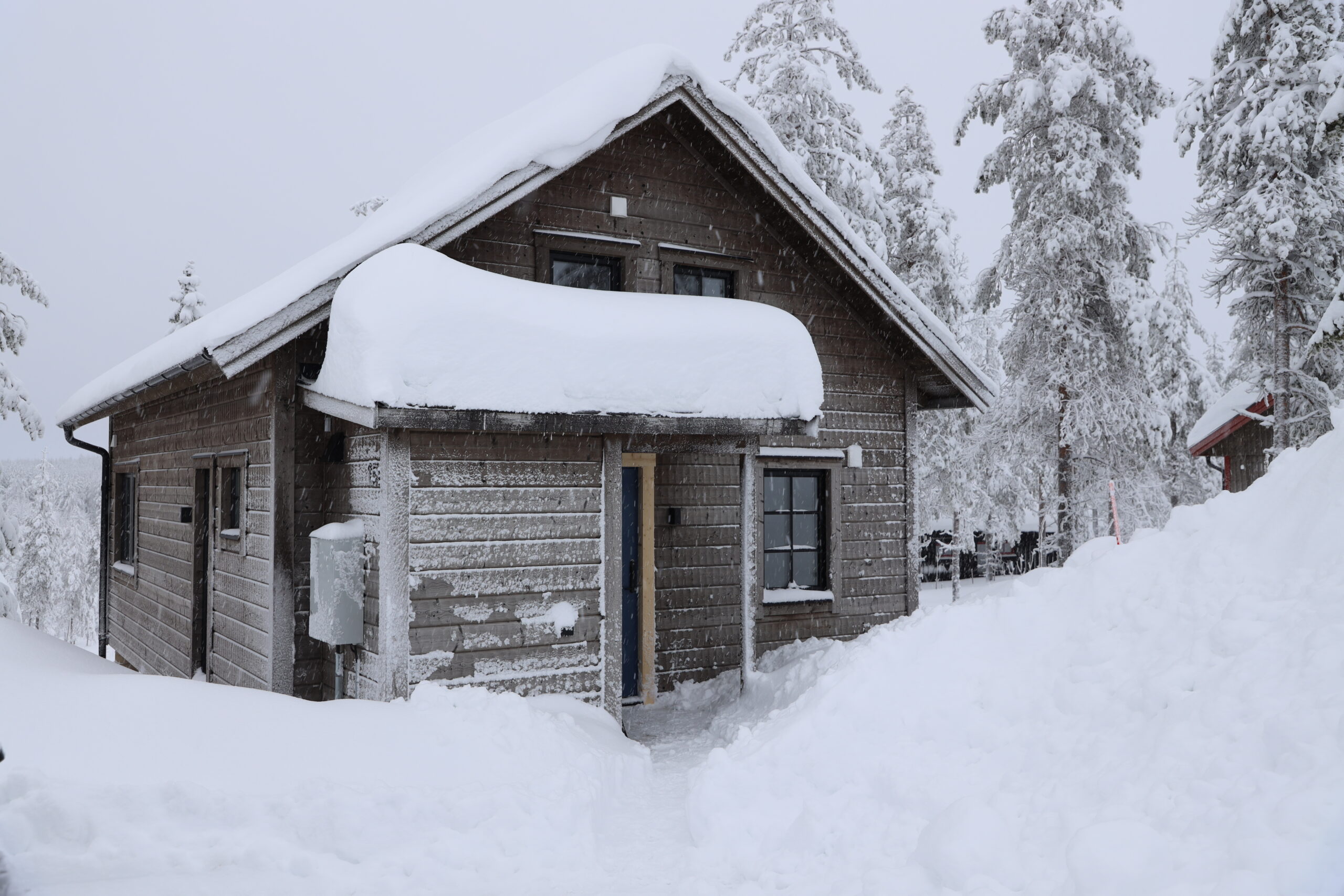 Trästuga med snötäckt tak i vintermiljö omgiven av träd. Trästuga med snötäckt tak i vintermiljö omgiven av träd.