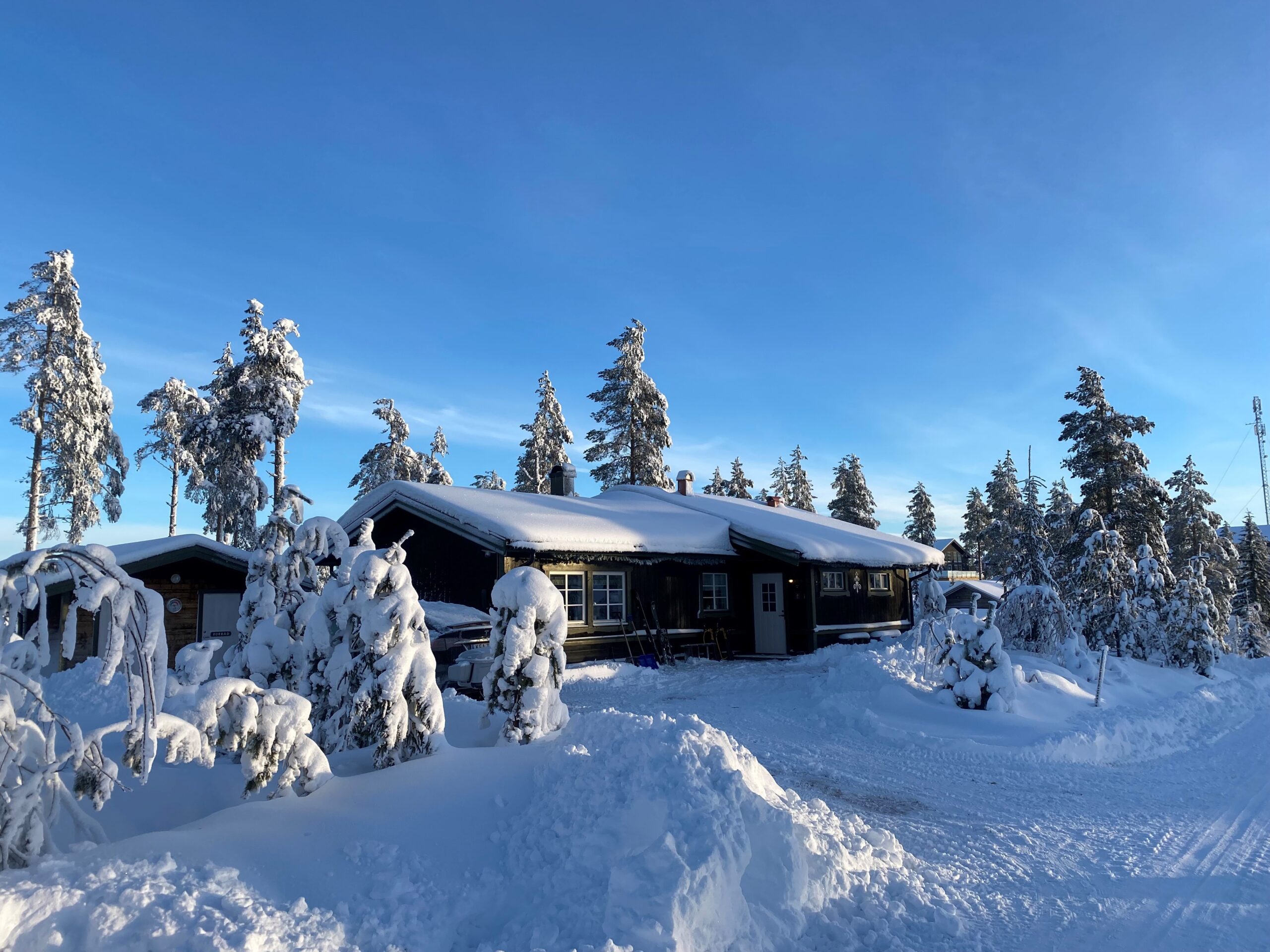 Mörk trästuga i snötäckt vinterlandskap med snötäckta träd runt omkring. Mörk trästuga i snötäckt vinterlandskap med snötäckta träd runt omkring.