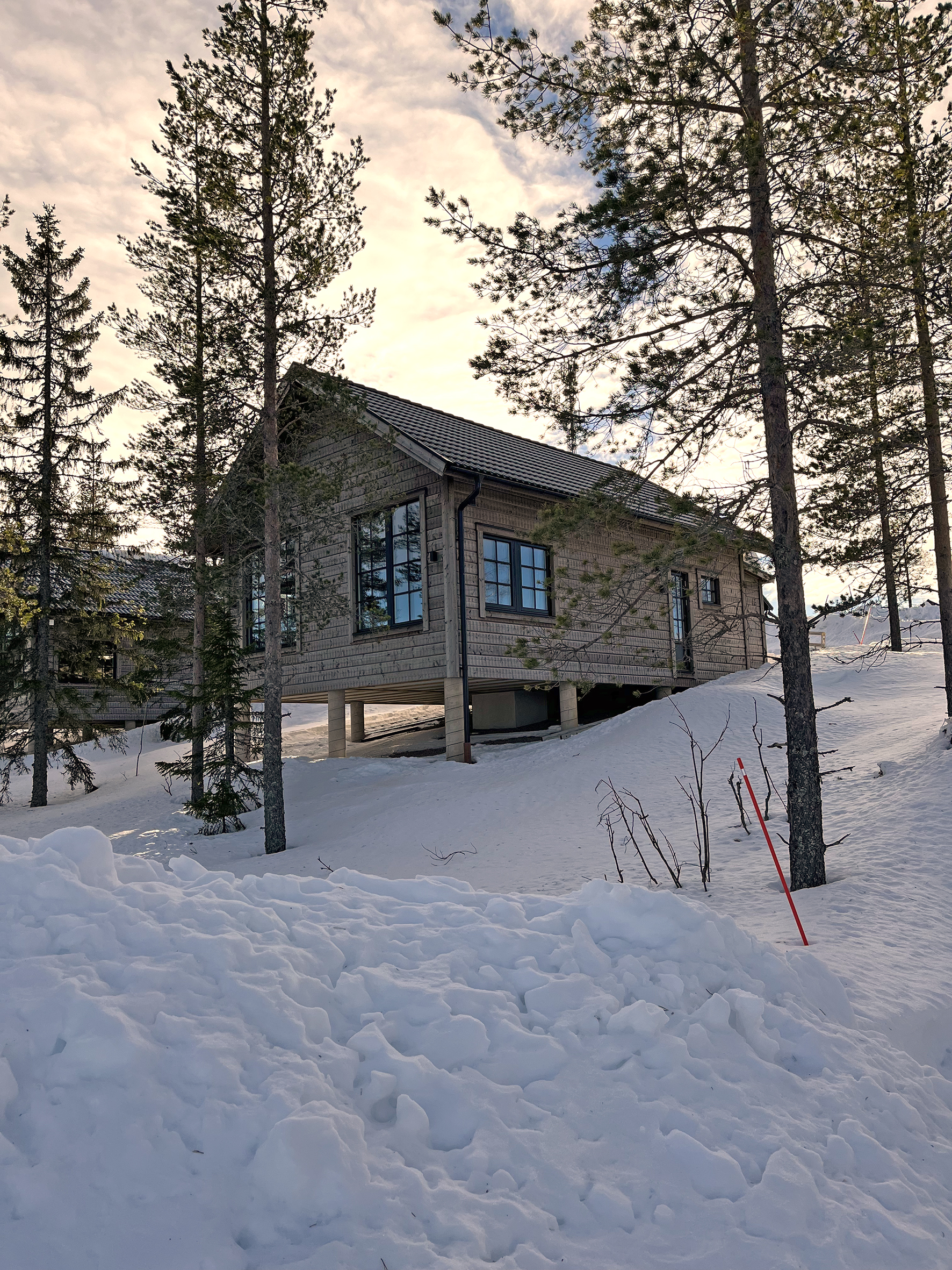 Trästuga i snötäckt skogsmiljö med träd runt byggnaden. Trästuga i snötäckt skogsmiljö med träd runt byggnaden.
