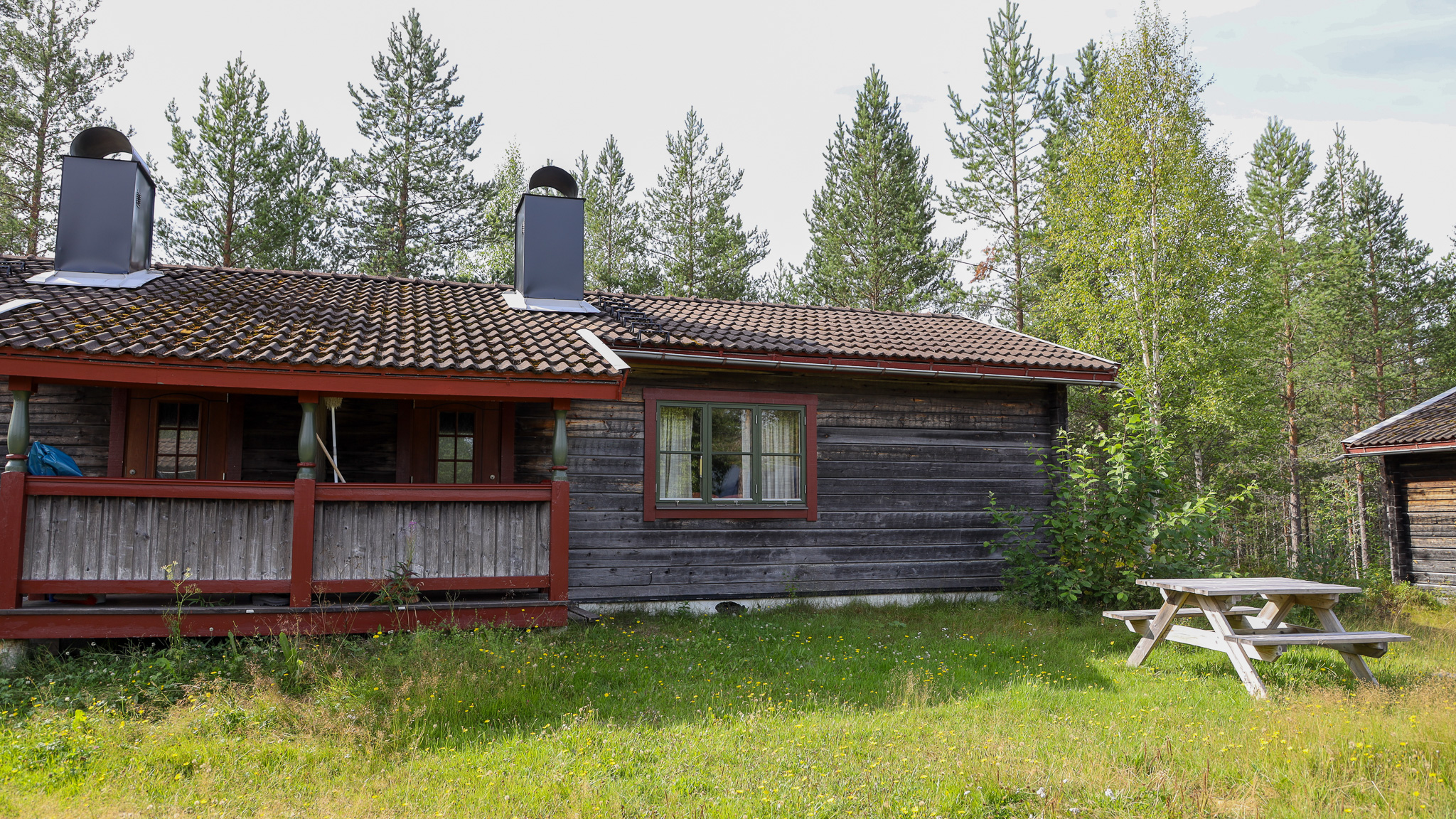 Mörk trästuga med veranda, omgiven av skog och grönska Mörk trästuga med veranda, omgiven av skog och grönska