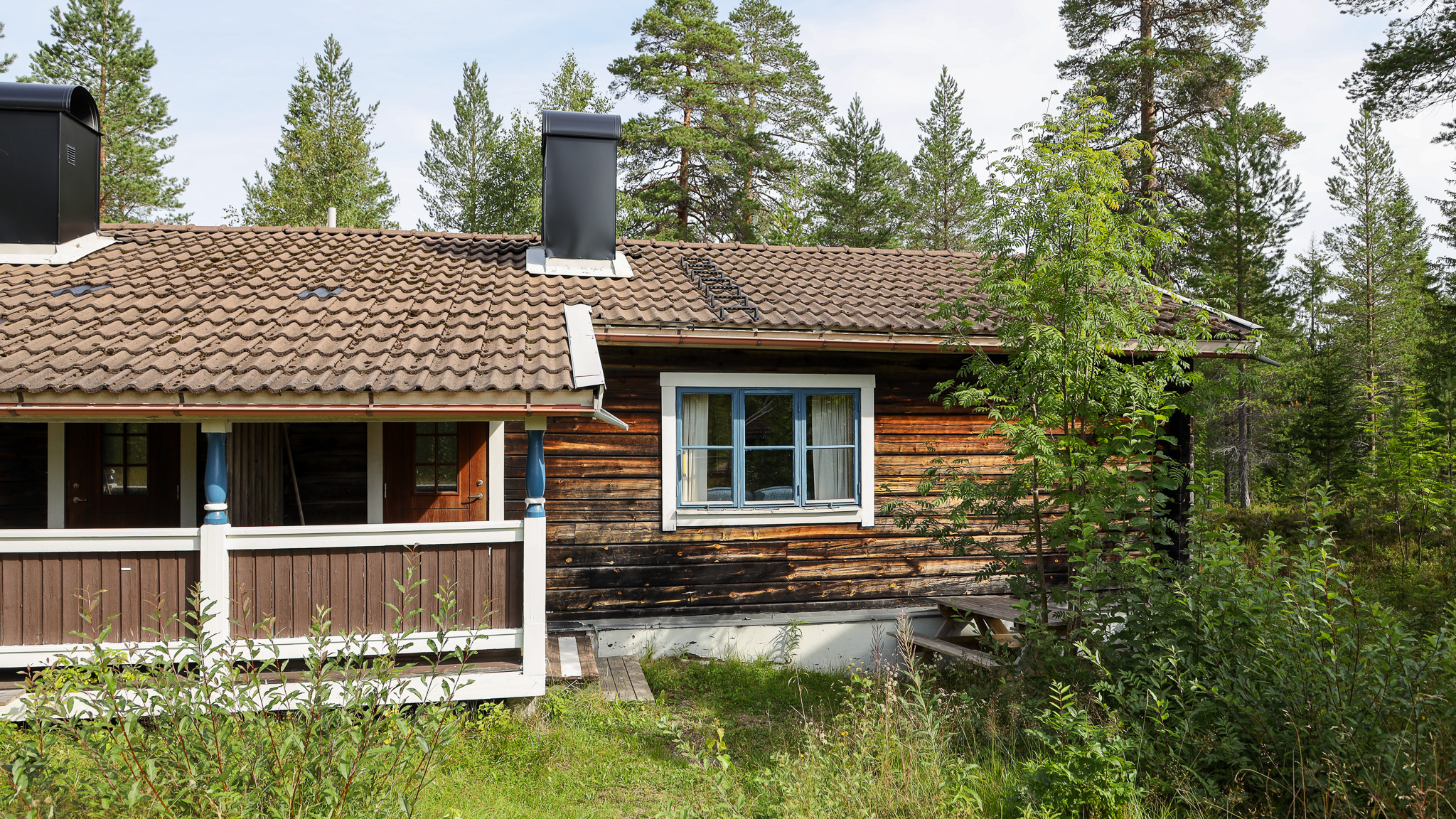 Trästuga med altan och stora fönster, omgiven av skog. Trästuga med altan och stora fönster, omgiven av skog.